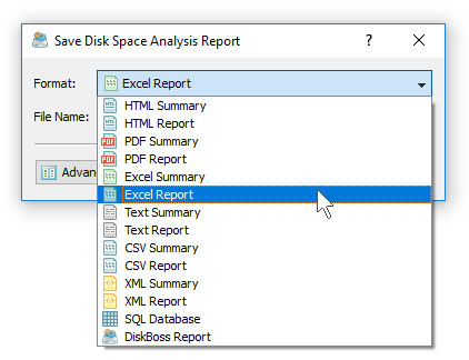 Save DiskBoss Analysis Excel Report
