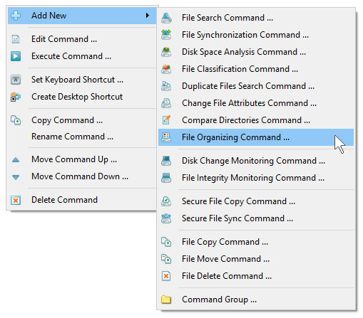 Add Rule-Based File Organizing Command