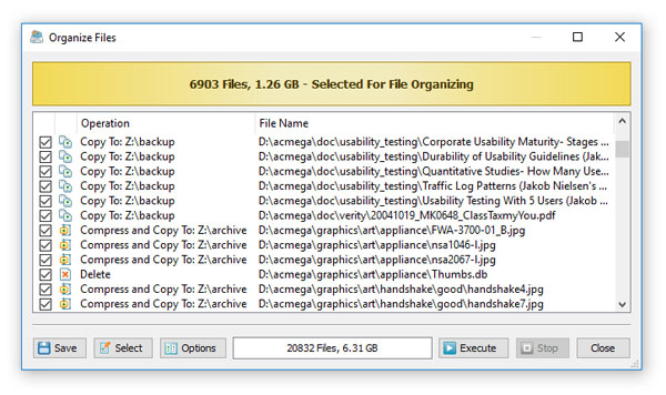 Rule-Based File Organizing Preview