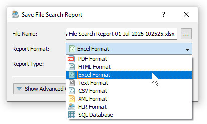 DiskBoss File Search Save Excel Report