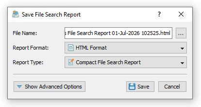 DiskBoss Save File Search Report