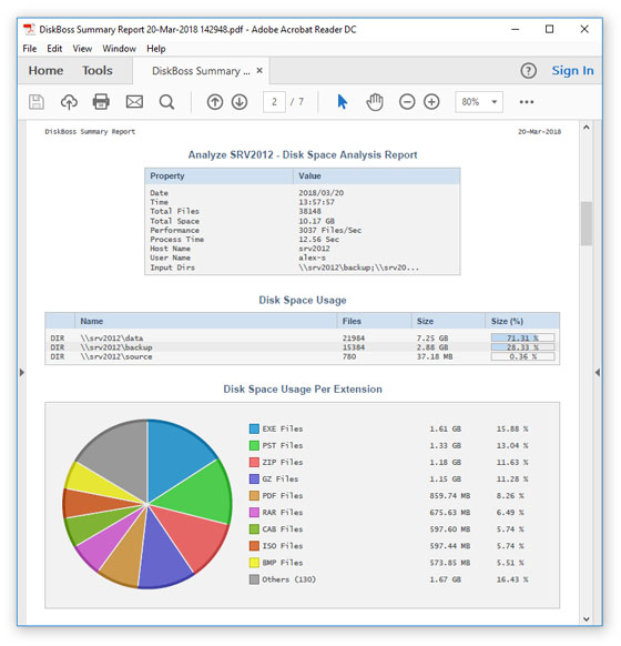 DiskBoss Graphical PDF Summary Report